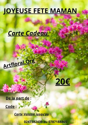 E.Carte Cadeau 20€Joyeuse Fête Maman