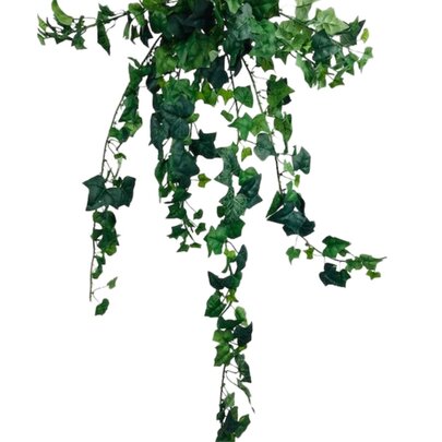 Lierre en poignée. ( Guirlande)