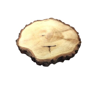  Grande Rondelle de Bois x 1