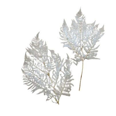Lot de 2 feuilles de fougères stabilisées couleur blanche.