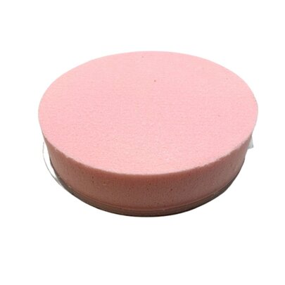 Tarte OASIS couleur Rose Tendre (Rose dragée ) GM