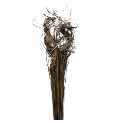 1 Bqt Curly tige x 150 tiges env.