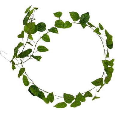 Guirlande artificielle feuille de Pothos.