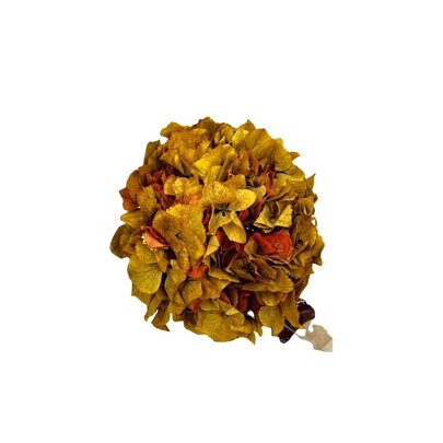 Hortensia stabilisé couleur Automnale