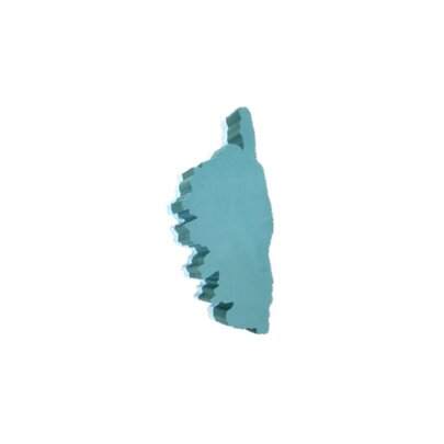La Corse en mousse OASIS pour fleurs fraiches.