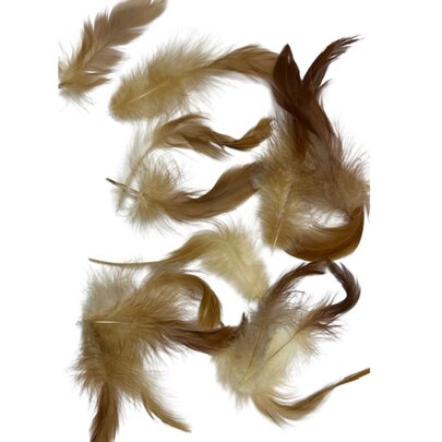 Petites Plumes de Poulet Naturelles Paques x 20 