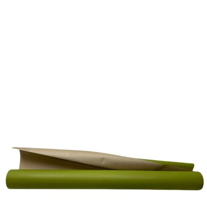 Rouleau Papier Kraft Couleur Kraft/Vert pomme x 50M