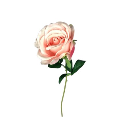 Rose Artificielle Rose.