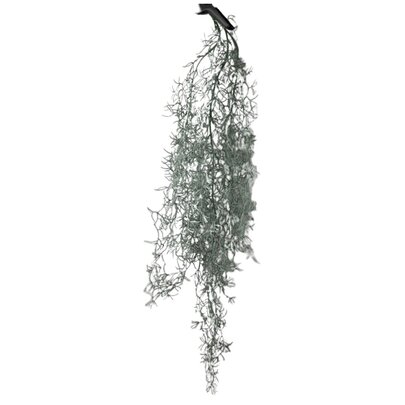 Tillandsia artificiel en chute x1