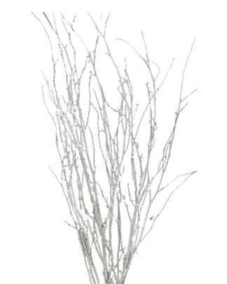 Botte Branches de Bouleau blanc Pailletées de 6 branches environ.