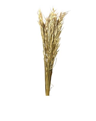 Avoine naturelle séchée botte