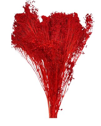 Balai Bloom couleur Rouge