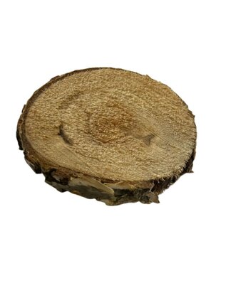 Petite Rondelle de bois x 1