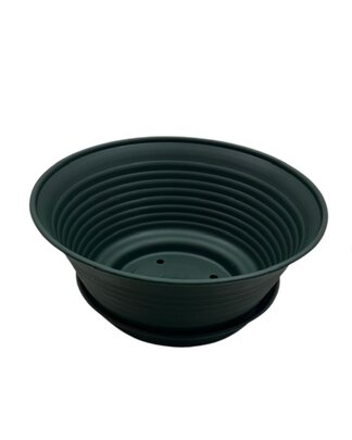 Coupe horticole verte 30,5 cm et sa soucoupe.