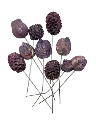 Mélange de cônes de leucodendron sur pique Prune chaulé par 10 pièces