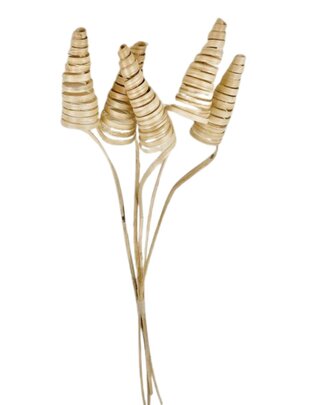Cane cone naturel par 5 pièces