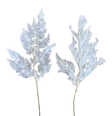 Lot de 2 petites feuilles de fougères préservées couleur blanche.