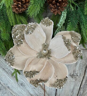 Fleur de Magnolia Beige.