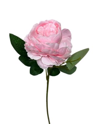 Pivoine rose artificielle.