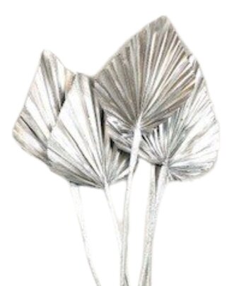 Feuille de palmier argent sur tige naturelle par 1