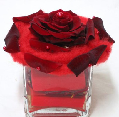 Rose uniflor
