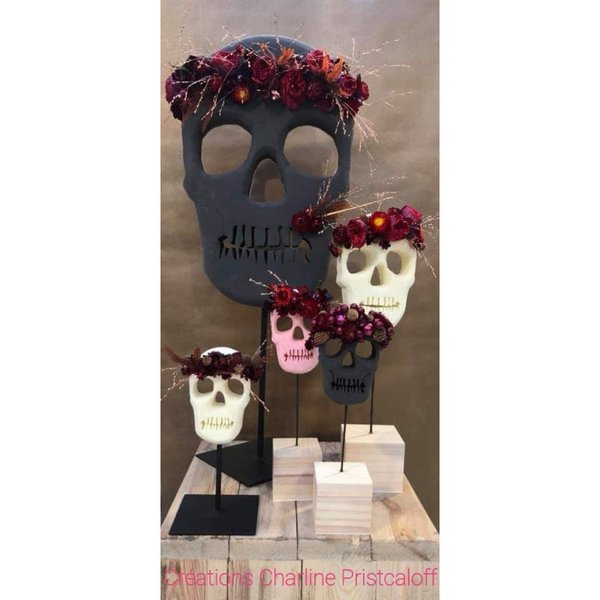 Décoration petite tête de mort modèle aléatoire 14 cm : Deguise-toi, achat  de