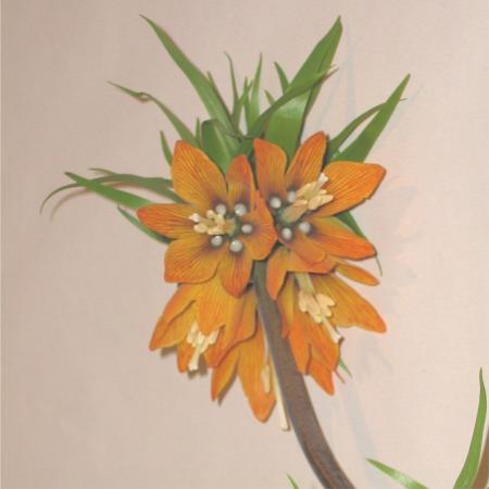 Fritillaire orange